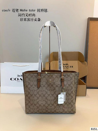 Coach Mollie Tote Bag 34 CV967