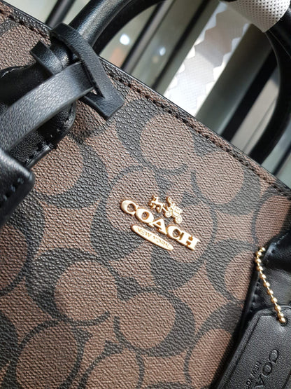 Coach Andrea Carryall Bag