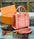 Marc Jacob Mini Snapshot Handbag