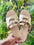 Cdior Flats