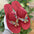 Butterfly Imported Sandals