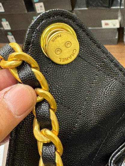 Chanel 25 Hobo Bag