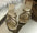 Zara Vobe Cross Mash Flats