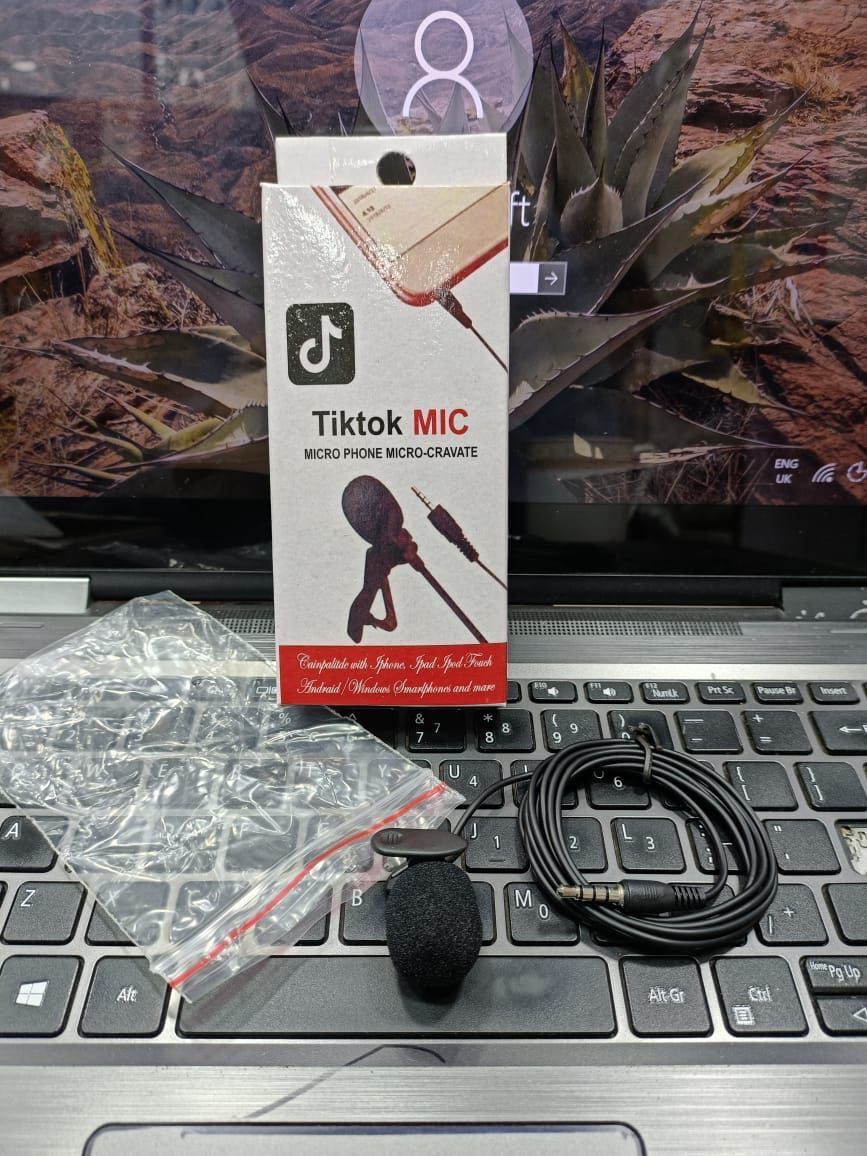 Tiktok Mic