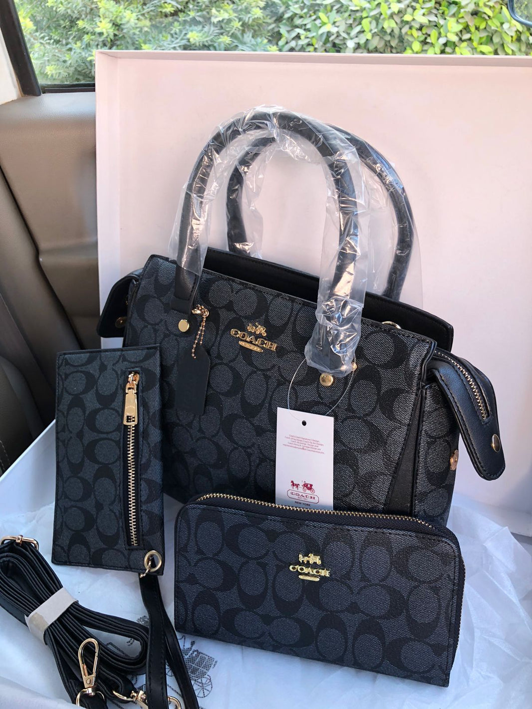 Coach 3x Handbag
