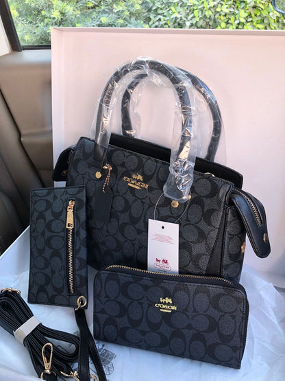 Coach 3x Handbag