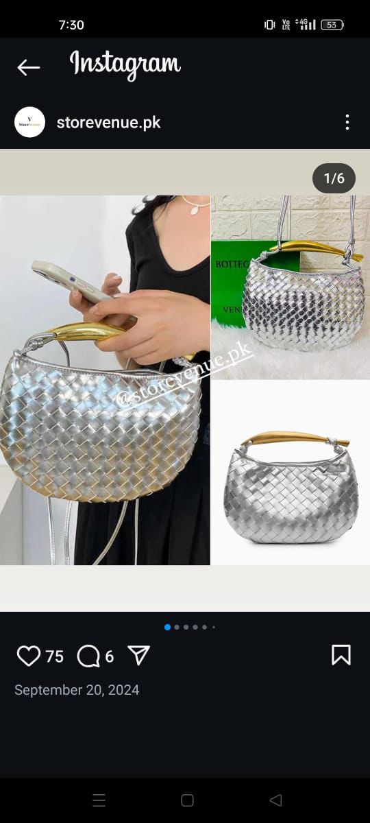 Bottega Veneta Classique Bags