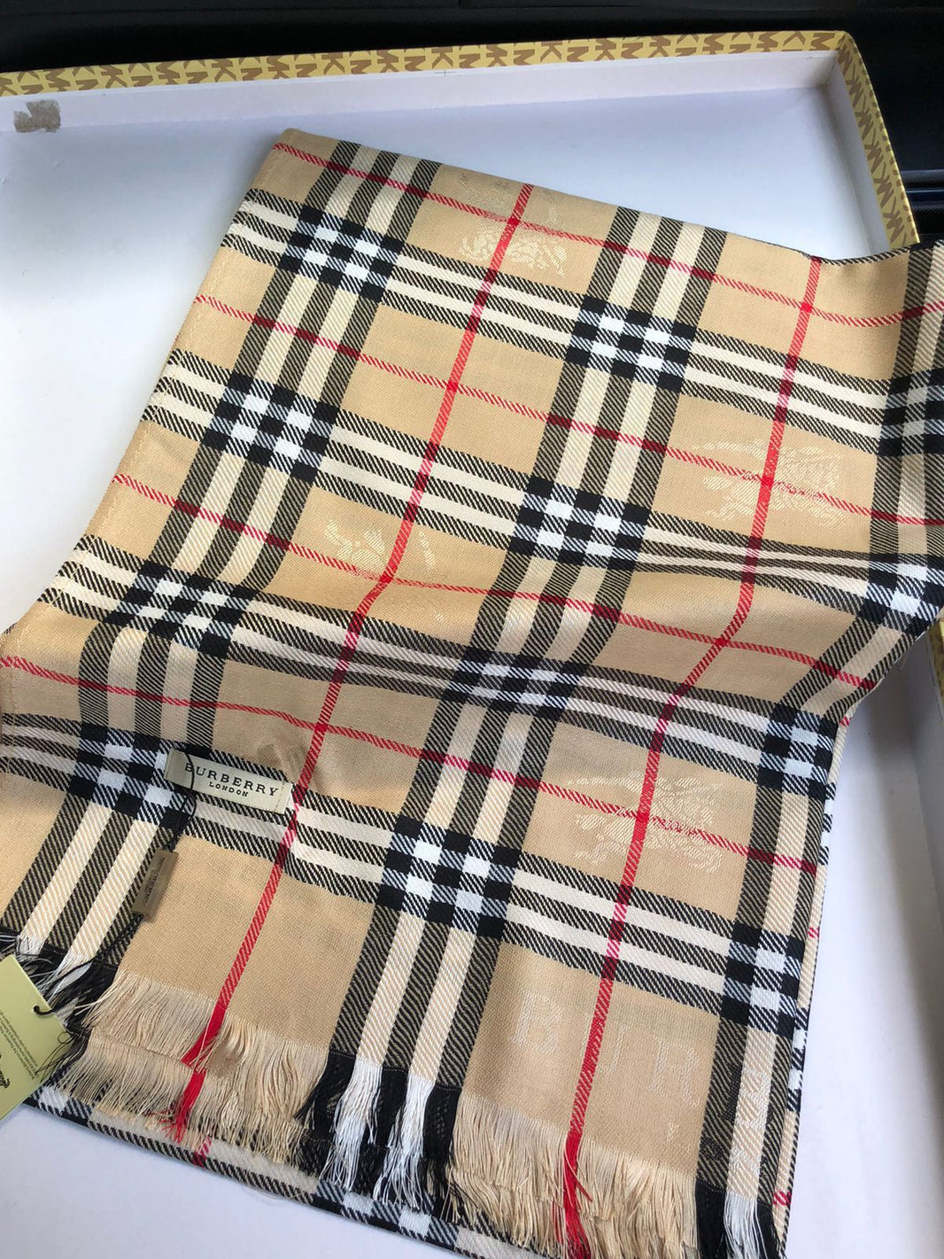 Burberry Scarves
