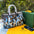 Goyard Tote Bags