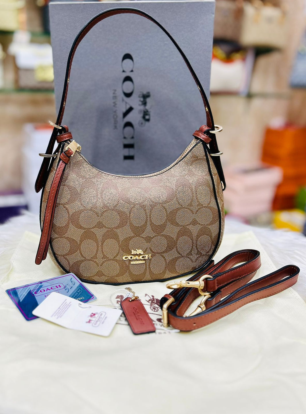 Coach Kleo Hobo Bag