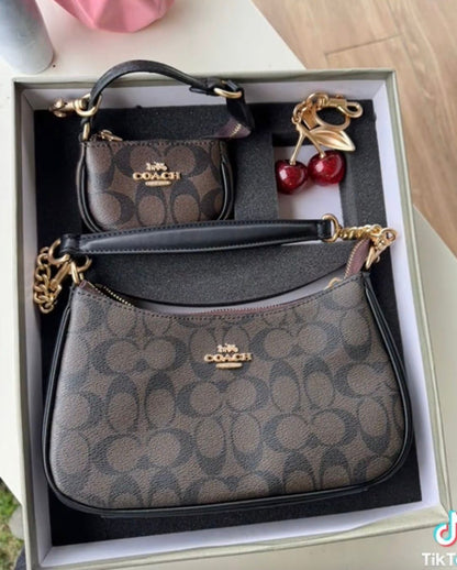 Coach Teri Bag Gift Set