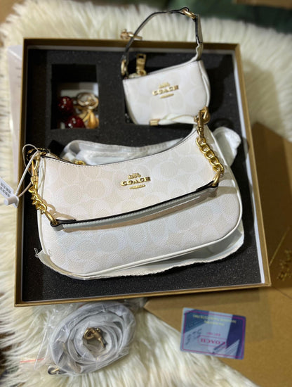 Coach Teri Bag Gift Set