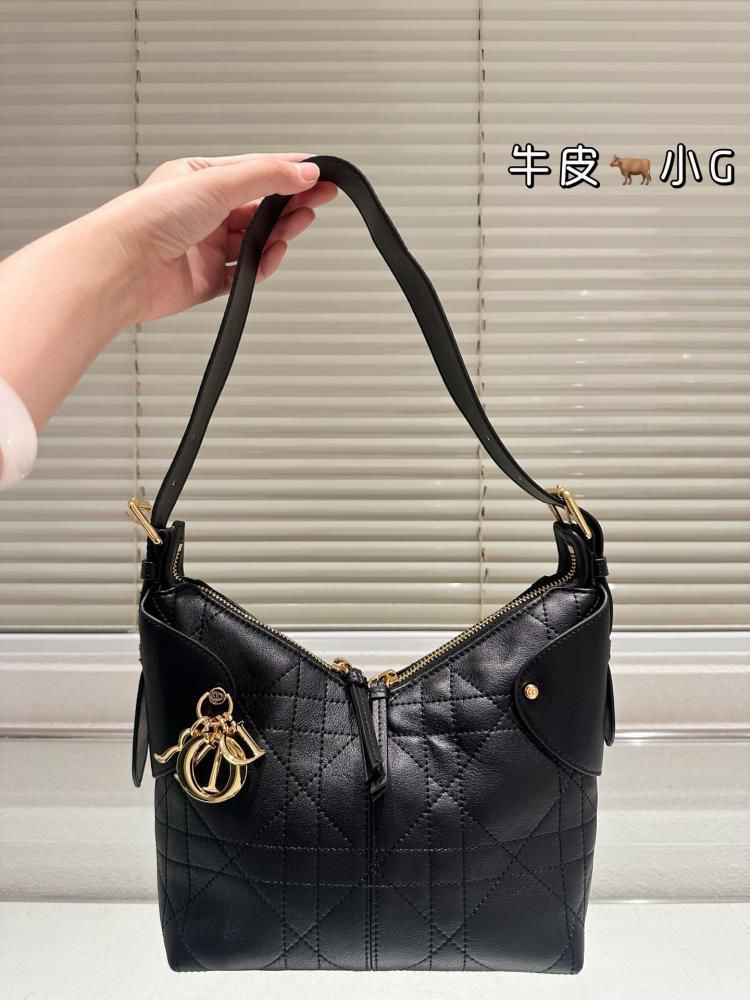 Christian Dior Voyage Bag