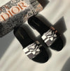 Cd Bee Slides