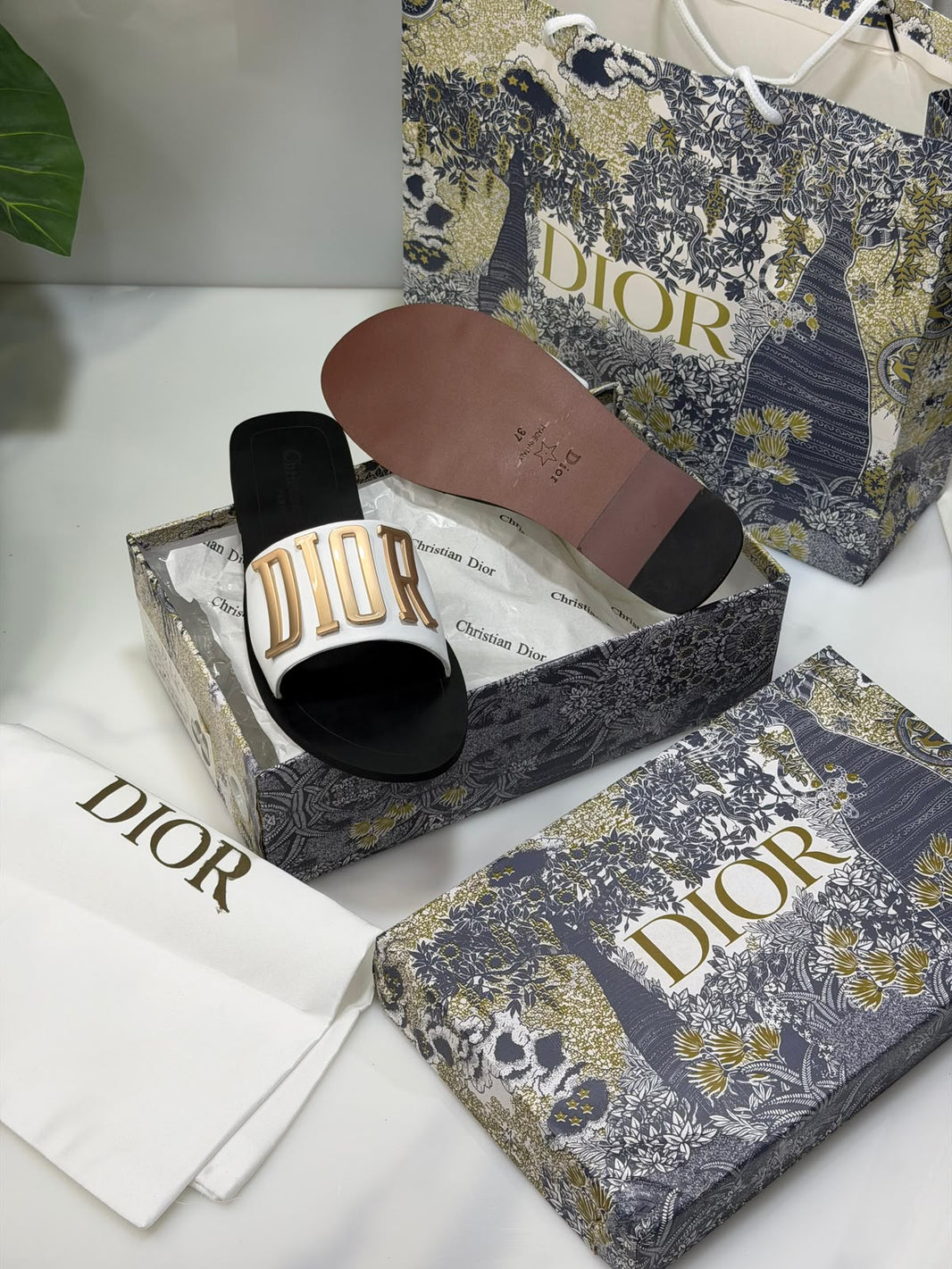 Cd Signature Slides
