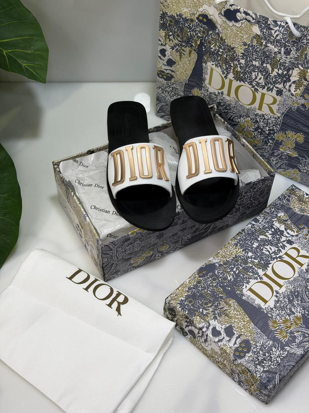 Cd Signature Slides