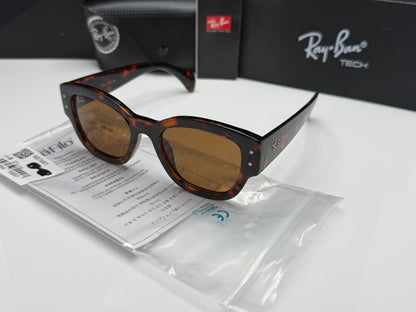 Rayban Unisex Sunglasses