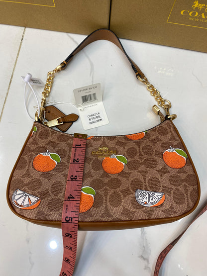 Coach Teri Lime Bag