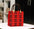 Luxury Leather Mini TT Purse