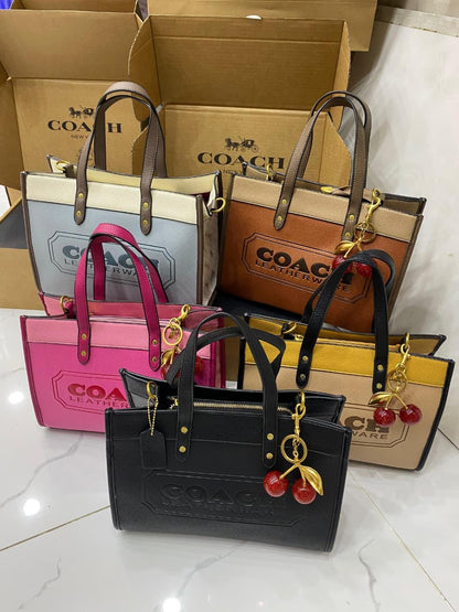 Coach Caviar Bag