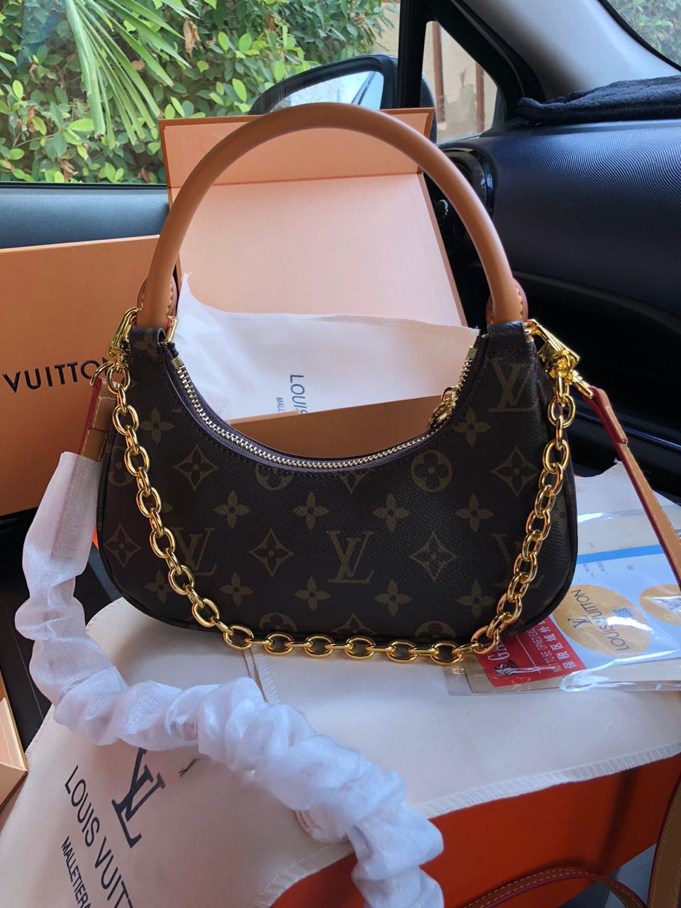 Lv Cloud Bag
