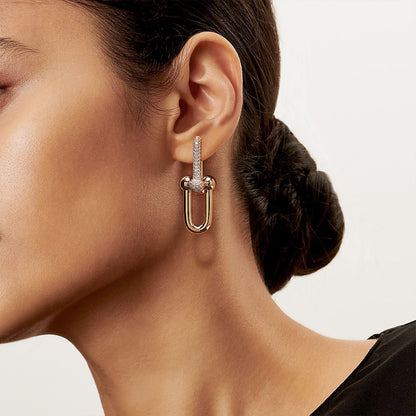 Tiffany & Co Large Link Earrings