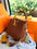 Louis Vuitton Vike Cross Body Bags