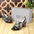Jimmy Choo Quartz Heels